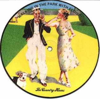 bootleg picture disc (USA)